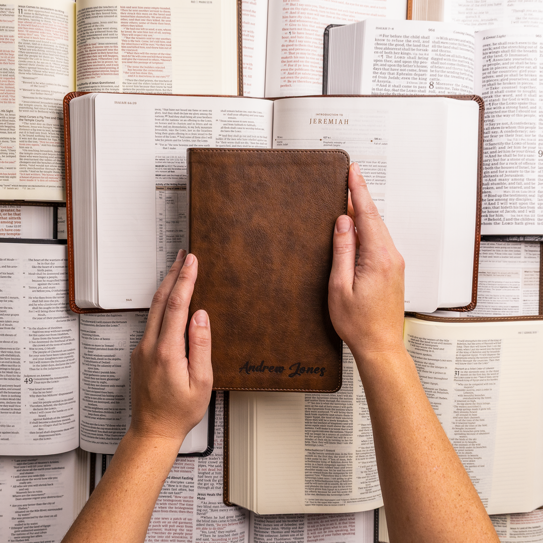 All NLT Bibles