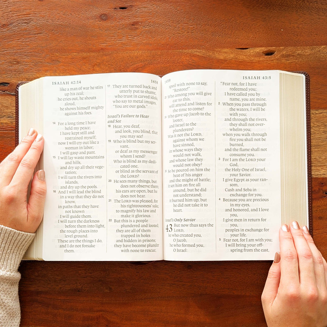 Biblia con letra súper gigante ESV personalizada – Borgoña | Girasol