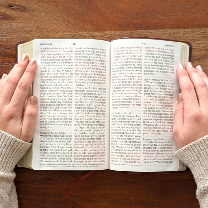 Biblia con letra súper gigante ESV personalizada – Borgoña | Girasol
