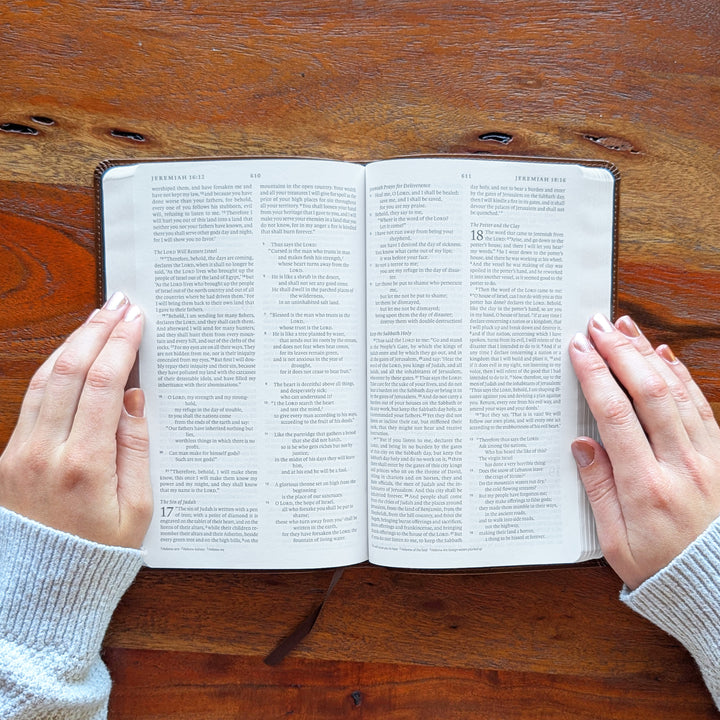 Biblia con letra súper gigante ESV personalizada – Borgoña | Girasol