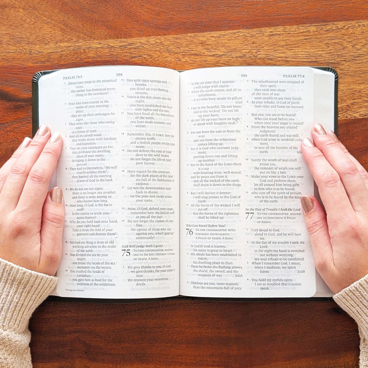 Biblia con letra súper gigante ESV personalizada – Borgoña | Girasol