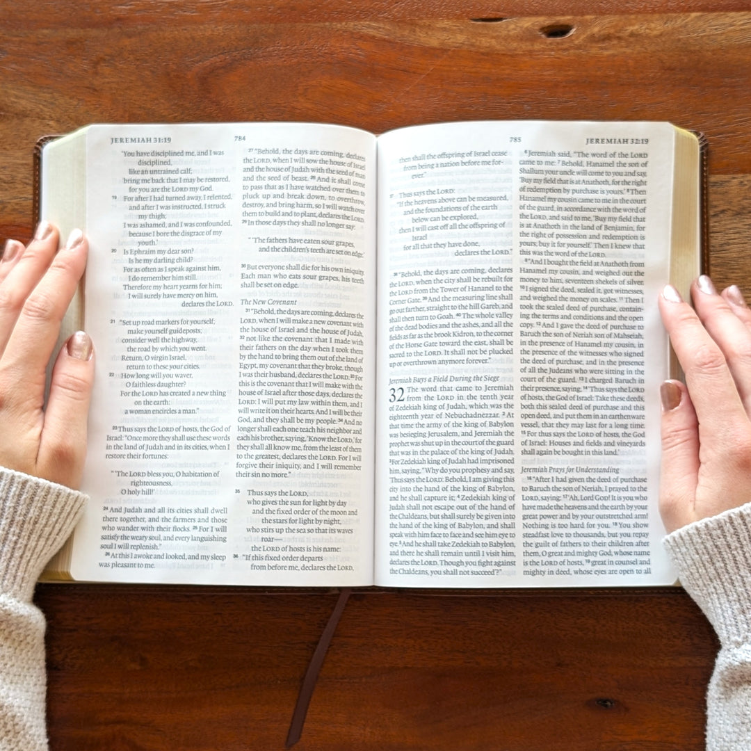 Biblia con letra súper gigante ESV personalizada – Borgoña | Girasol