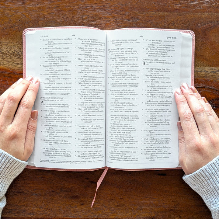 Biblia con letra súper gigante ESV personalizada – Borgoña | Girasol