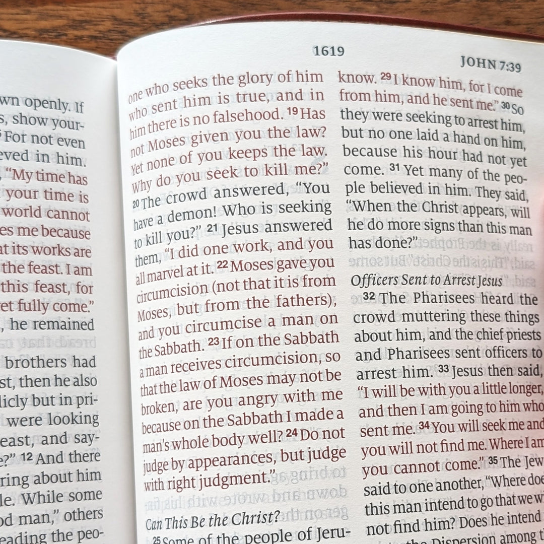 Biblia con letra súper gigante ESV personalizada – Borgoña | Girasol