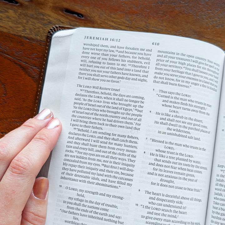 Biblia con letra súper gigante ESV personalizada – Borgoña | Girasol