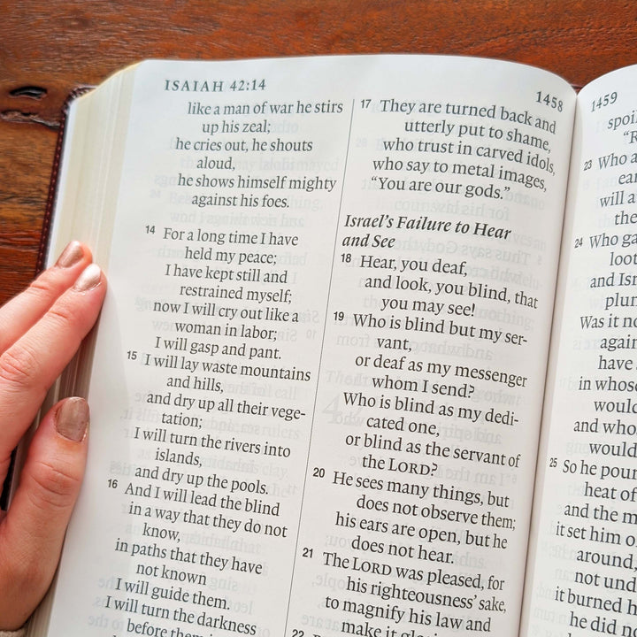 Biblia con letra súper gigante ESV personalizada – Borgoña | Girasol
