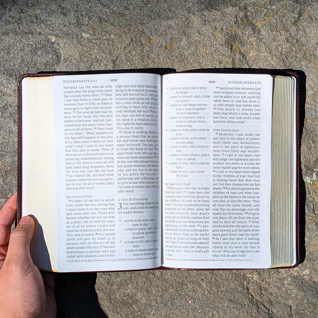 Biblia con letra súper gigante ESV personalizada – Borgoña | Girasol