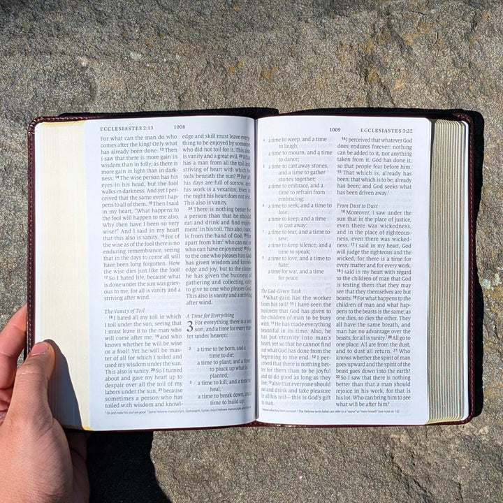 Biblia con letra súper gigante ESV personalizada – Borgoña | Girasol