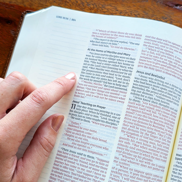 Personalized NIV Journal the Word Bible – Double Column Brown | Jesus on Water