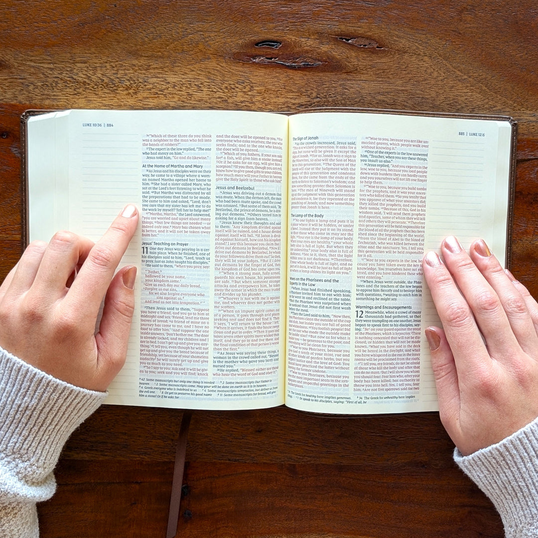 Personalized NIV Journal the Word Bible – Double Column Brown | Jesus on Water