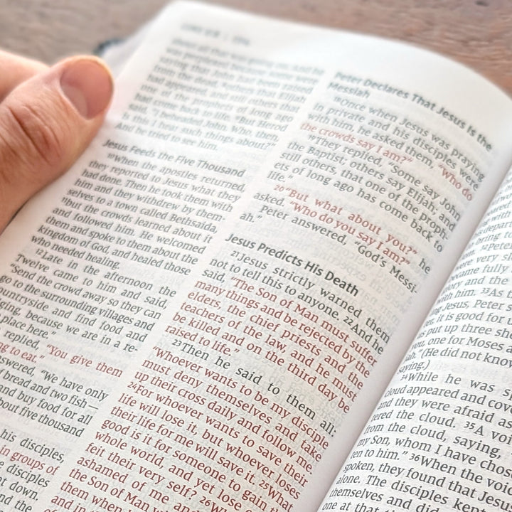 Biblia Personalizada NVI Tamaño Personal – Letra Grande, Negra | Corona de Espinas
