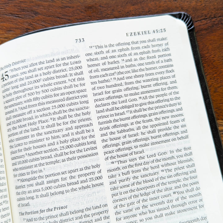 Biblia con letra súper gigante ESV personalizada – Borgoña | Girasol