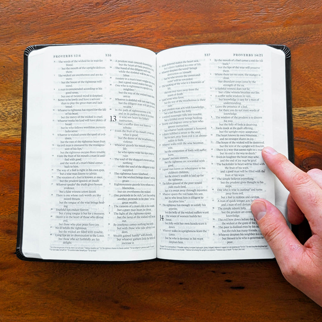 Biblia con letra súper gigante ESV personalizada – Borgoña | Girasol