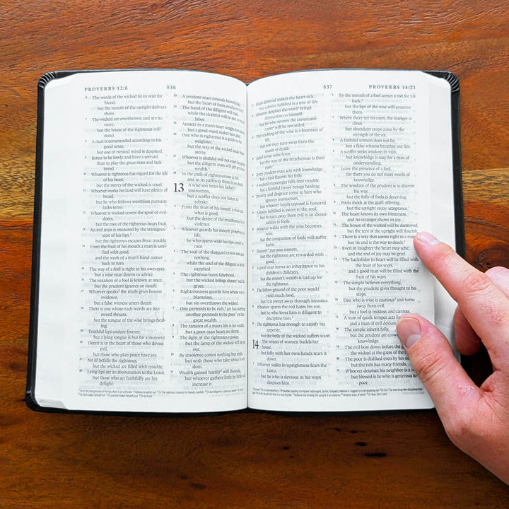 Biblia con letra súper gigante ESV personalizada – Borgoña | Girasol