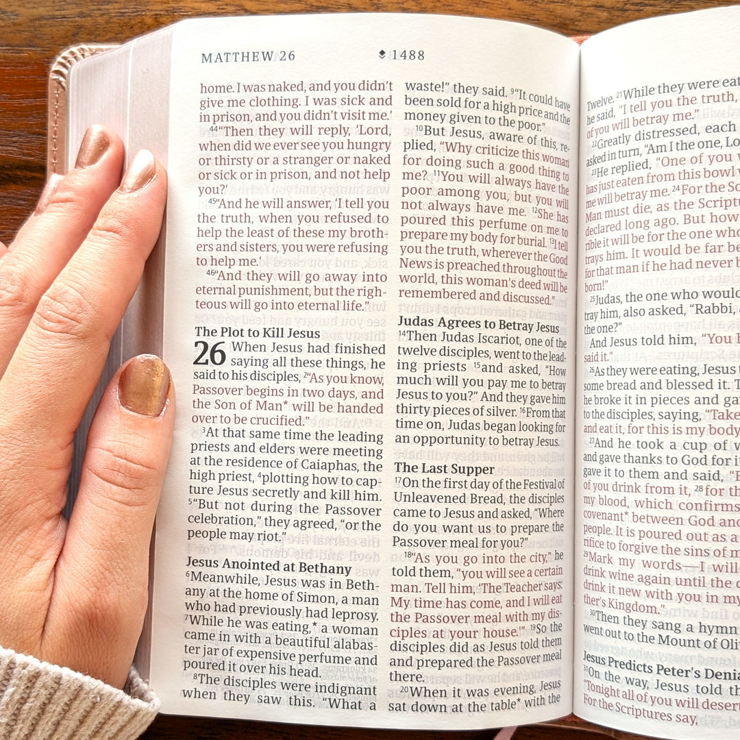 Personalized NLT Compact Bible - Rose Metallic, Peony | Engraved Name