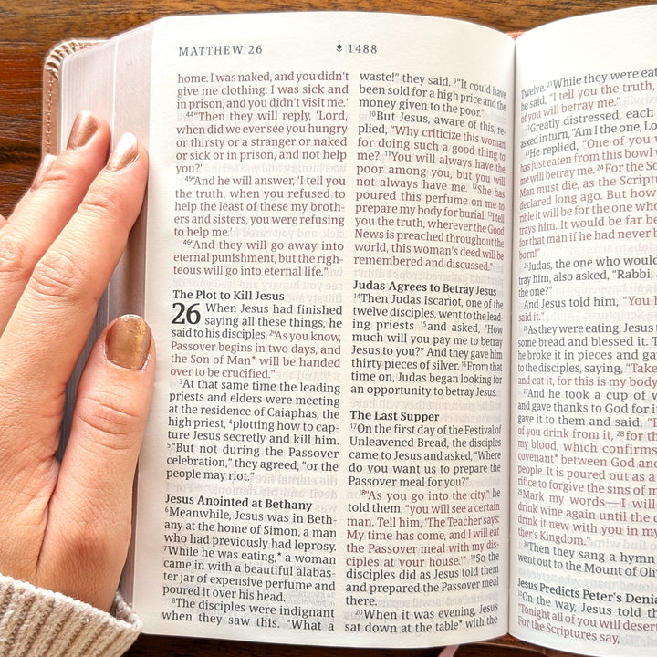 Personalized NLT Compact Bible - Rose Metallic, Peony | Engraved Name