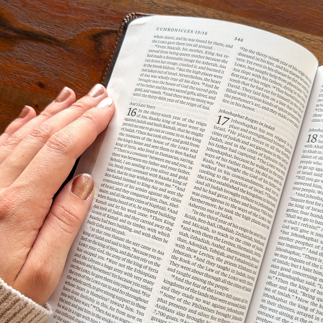 Biblia con letra súper gigante ESV personalizada – Borgoña | Girasol