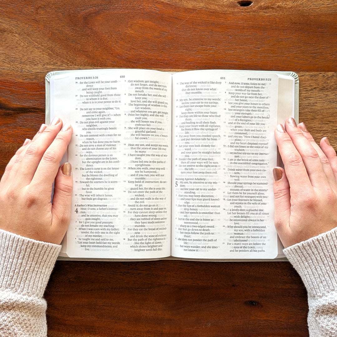 Personalized ESV Large Print Value Thinline Bible - River Stone, Branch | Name Version 02.