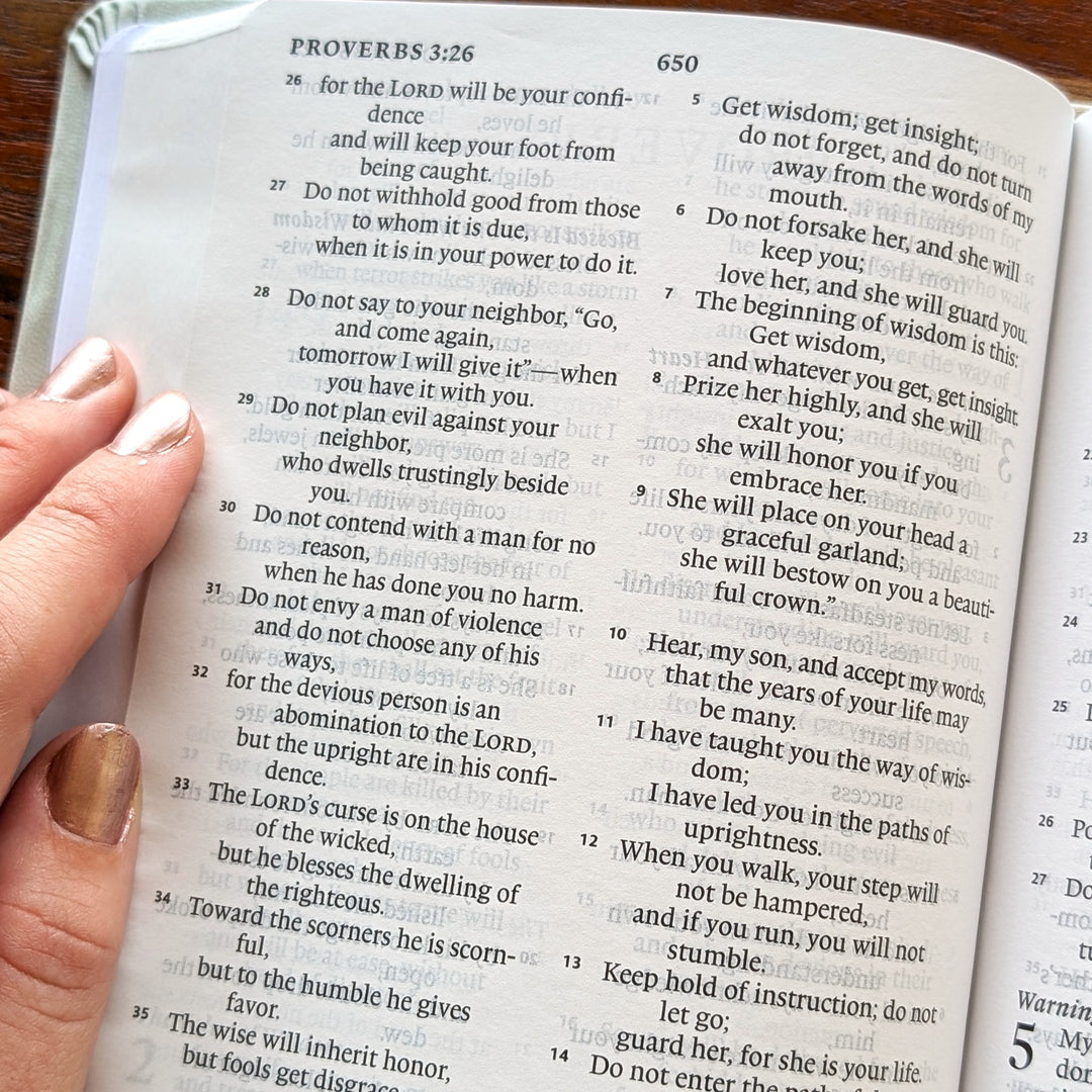Personalized ESV Large Print Value Thinline Bible - River Stone, Branch | Name Version 02.