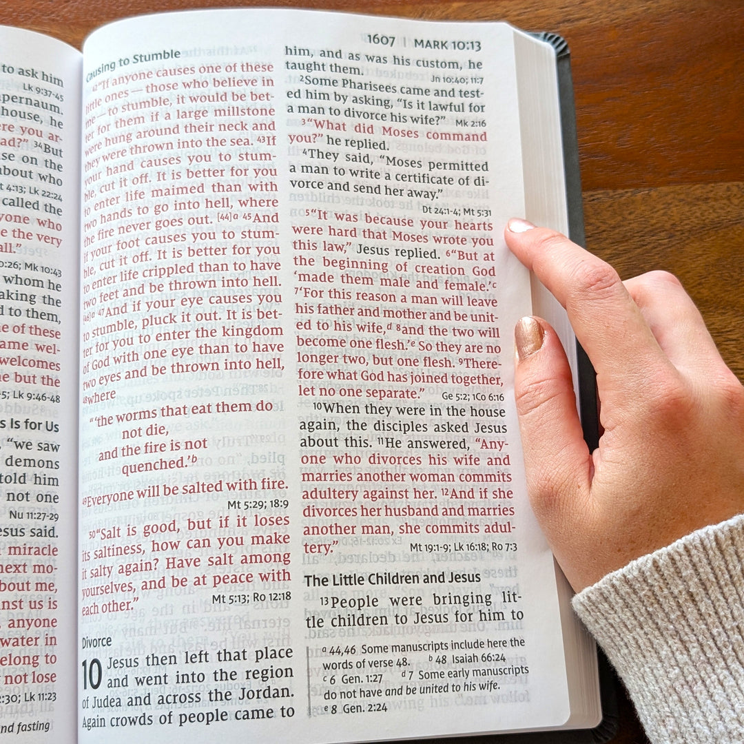 Biblia NVI Personalizada para Niños - Rosa | Nombre grabado