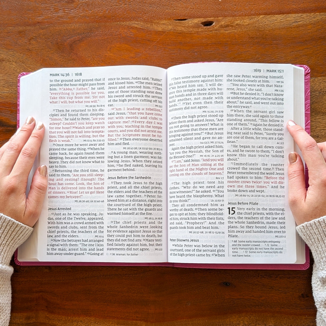 Biblia NVI Personalizada para Niños - Rosa | Nombre grabado