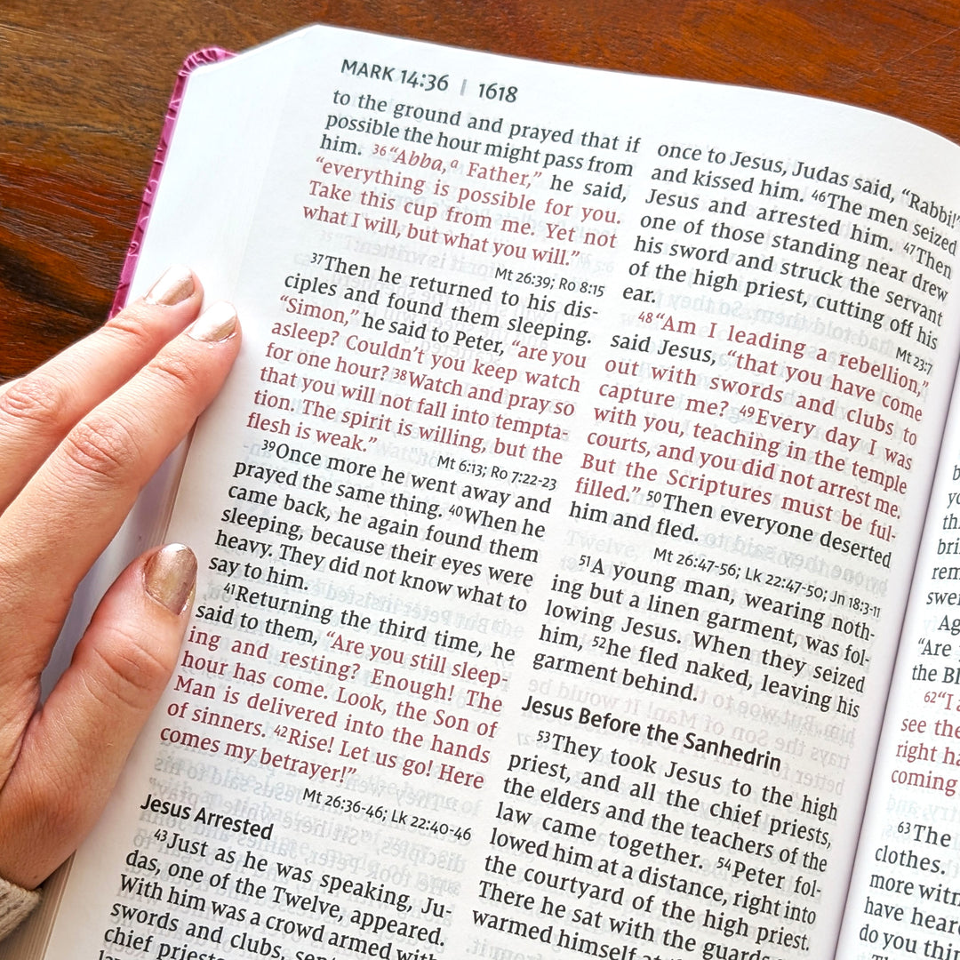 Biblia NVI Personalizada para Niños - Rosa | Nombre grabado