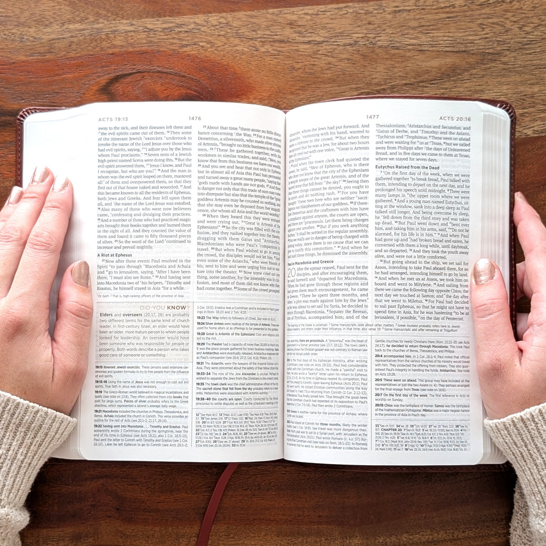 Biblia con letra súper gigante ESV personalizada – Borgoña | Girasol