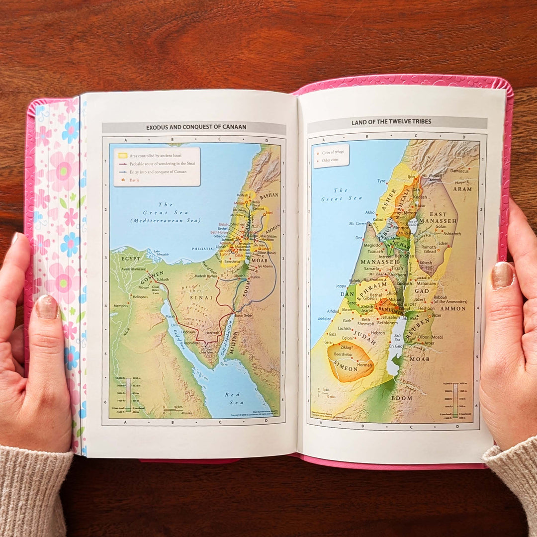 Personalized NIrV Kids Adventure Bible – Pink, Floral | Name &amp; Date