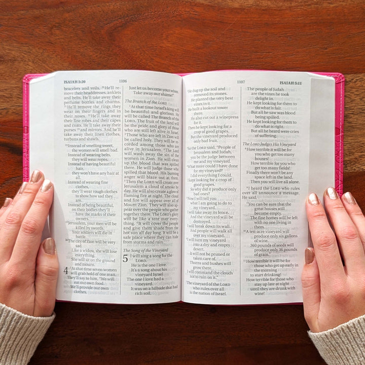 Personalized NIrV Large Print Bible – Pink, Floral | Name Version 02