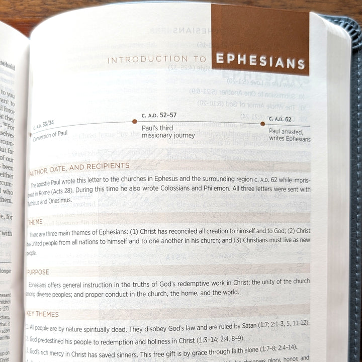 Biblia con letra súper gigante ESV personalizada – Borgoña | Girasol