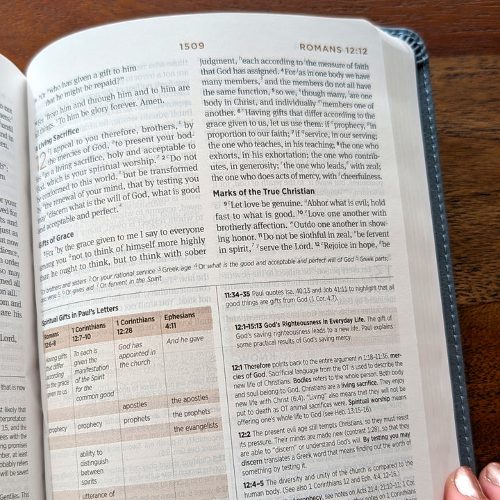 Biblia con letra súper gigante ESV personalizada – Borgoña | Girasol