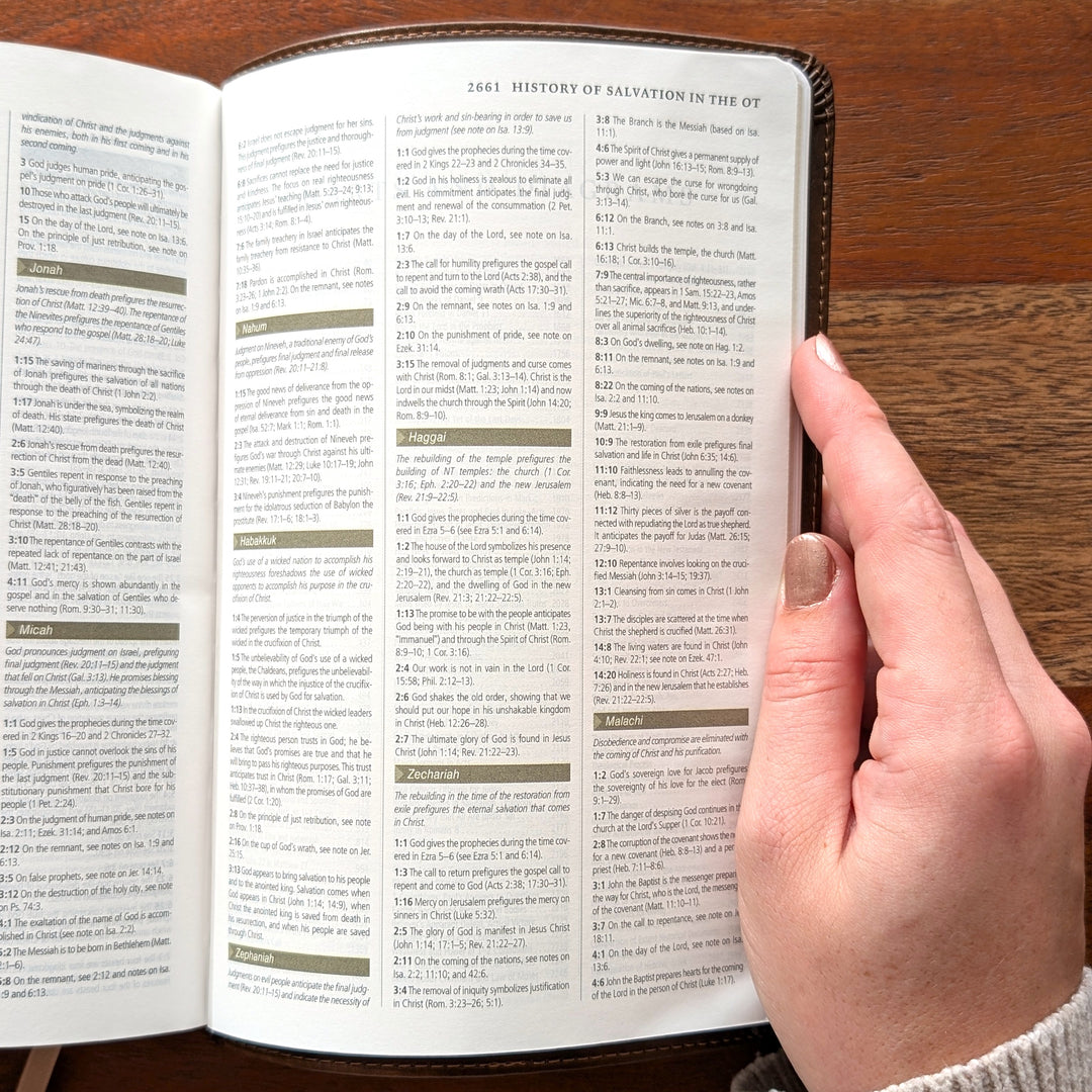 Biblia con letra súper gigante ESV personalizada – Borgoña | Girasol