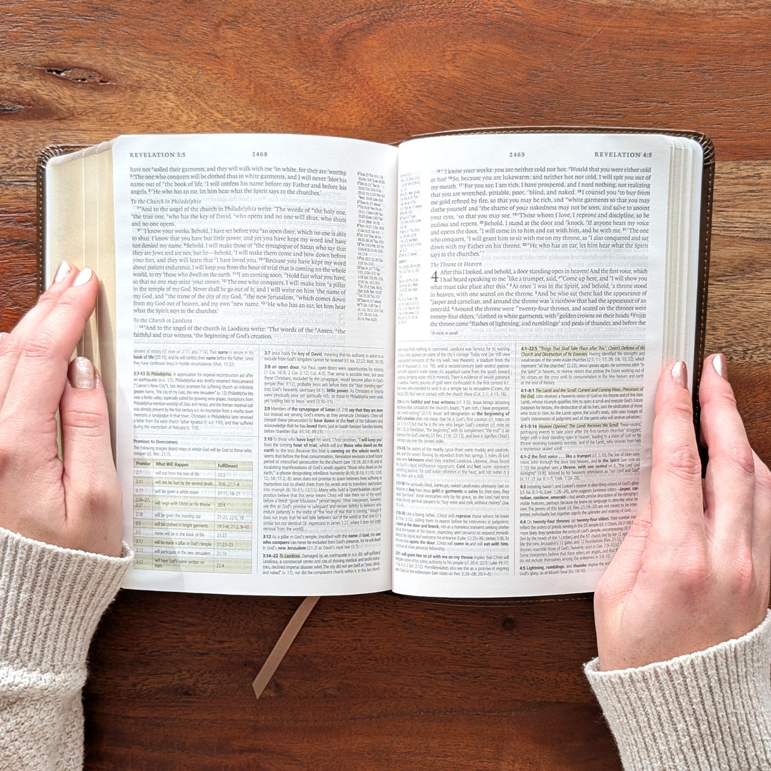 Biblia con letra súper gigante ESV personalizada – Borgoña | Girasol