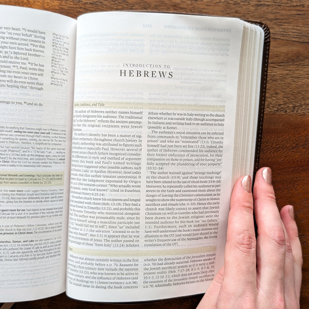 Biblia con letra súper gigante ESV personalizada – Borgoña | Girasol