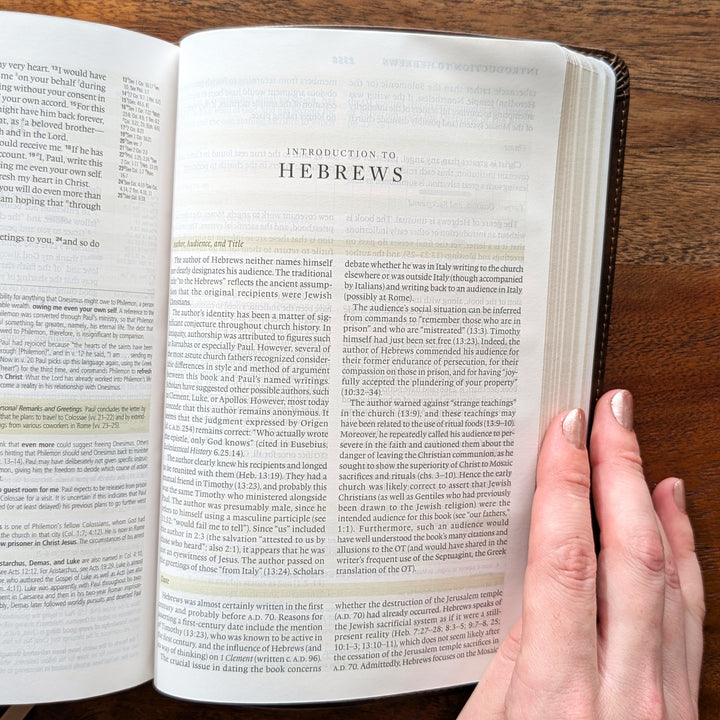 Biblia con letra súper gigante ESV personalizada – Borgoña | Girasol