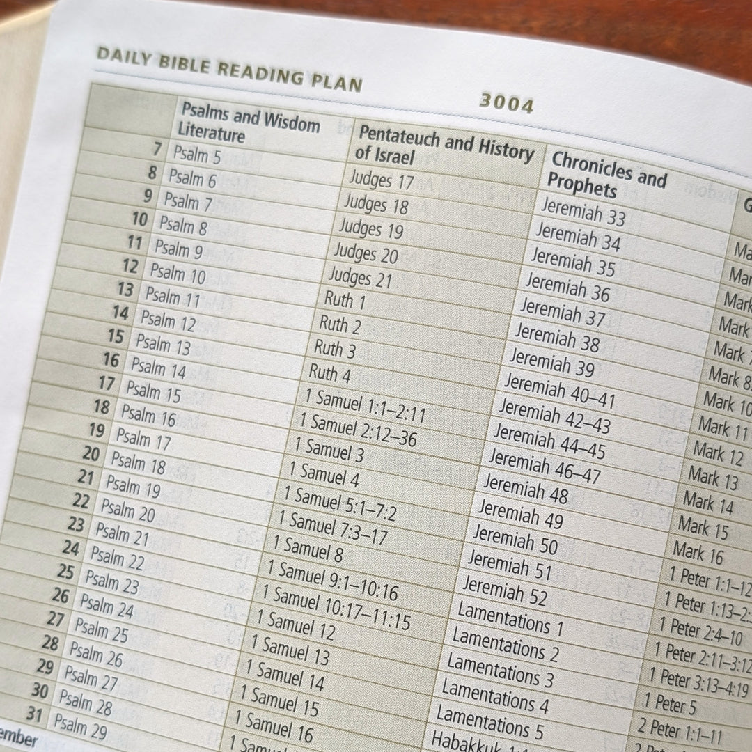Biblia con letra súper gigante ESV personalizada – Borgoña | Girasol