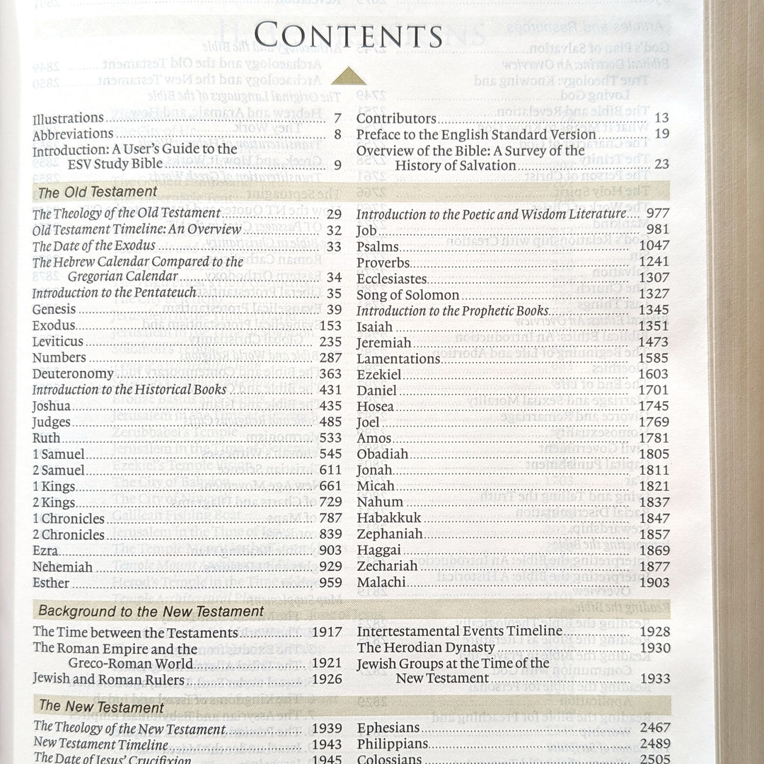 Biblia con letra súper gigante ESV personalizada – Borgoña | Girasol