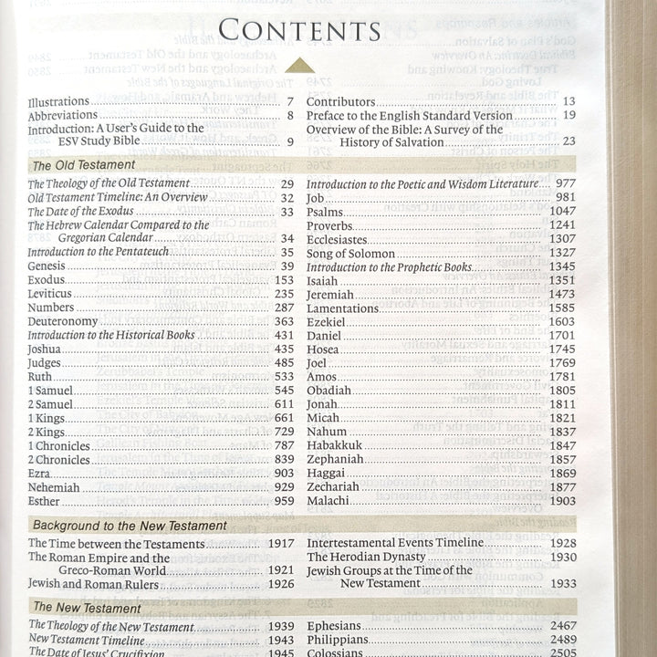Biblia con letra súper gigante ESV personalizada – Borgoña | Girasol