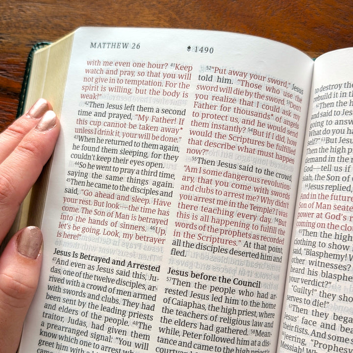 Biblia con letra súper gigante ESV personalizada – Borgoña | Girasol